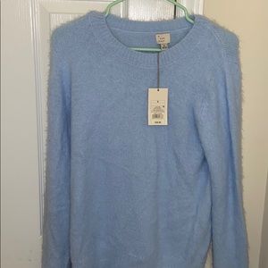 light blue sweater